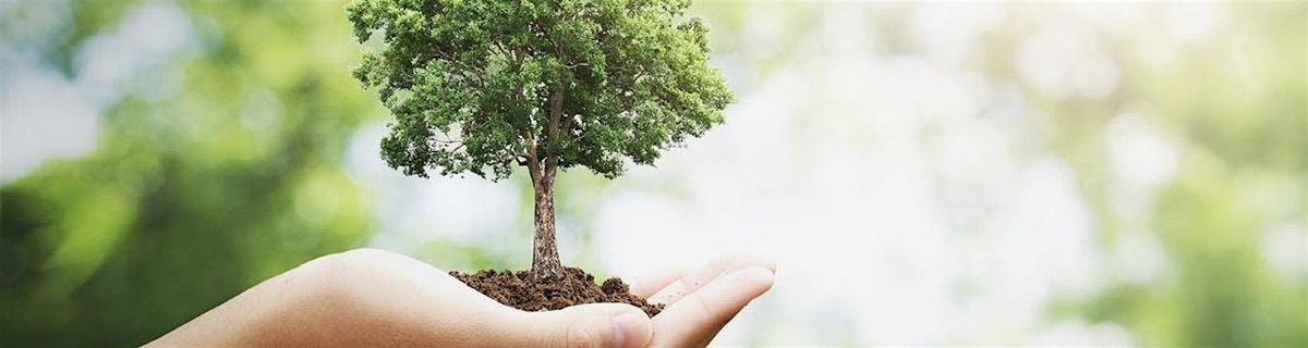 9-6-2025  Bonsai, 6 September | Event in Hudson | AllEvents