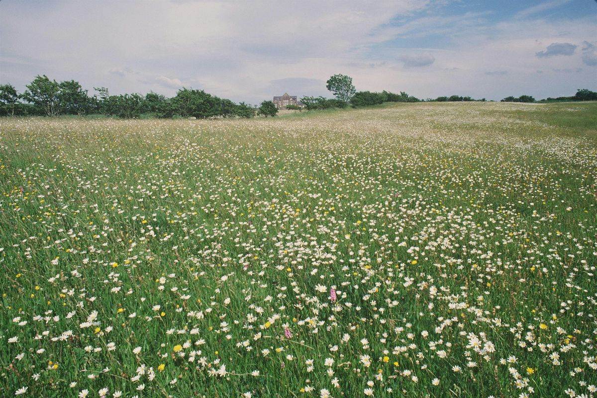 Field Identification Skills Certificate (FISC), 6 August | Event in Ingleton | AllEvents