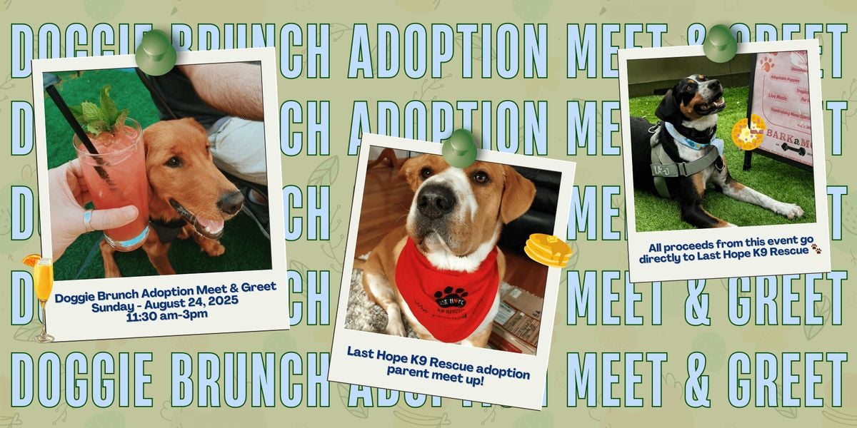 Doggie Brunch Adoption Meet & Greet, 24 August | Event in Newton | AllEvents