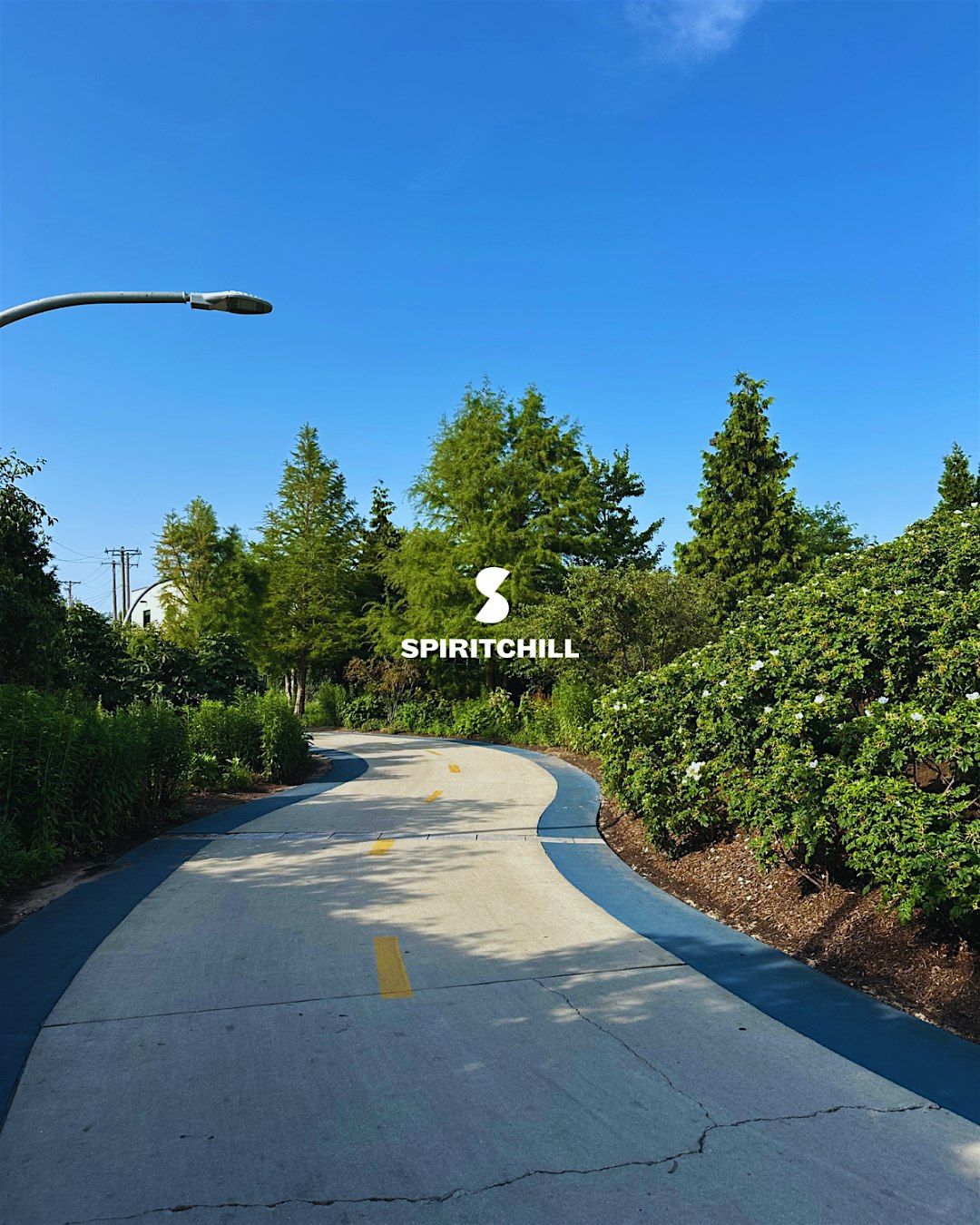 Mindful Miles with Spiritchill Wellness | Event in Chicago | AllEvents