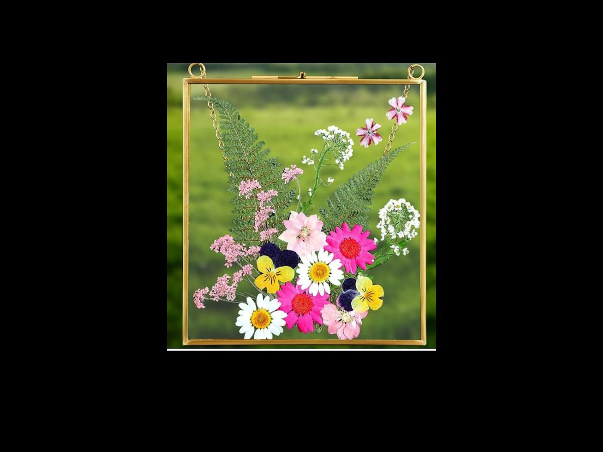 Pressed Flowers Frame, 24 May | Event in Vista | AllEvents