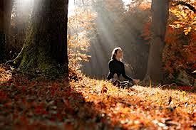 Transformation & Reflection Guided Meditation with Sound, 5 October | Event in Bristol | AllEvents