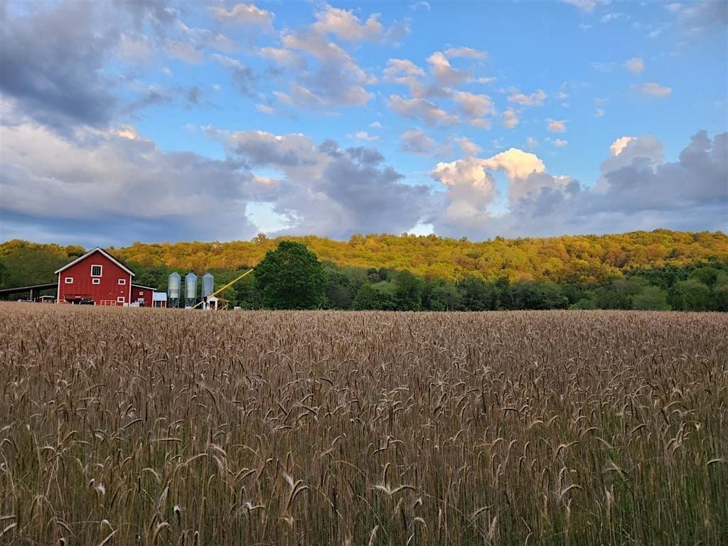 Knit & Sip at Branchwater Farms, 17 October | Event in Red Hook | AllEvents