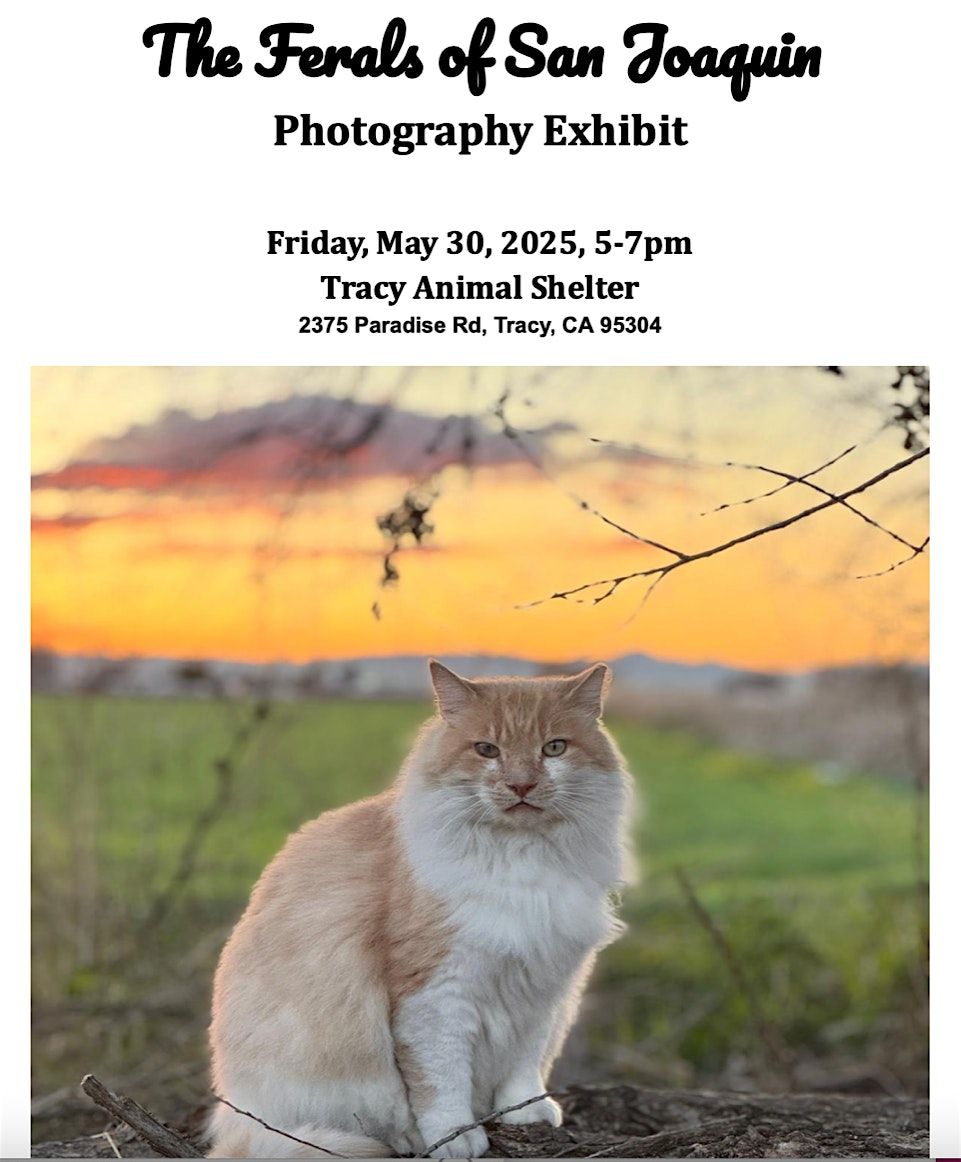 Photography Exhibit - The Ferals of San Joaquin, 30 May | Event in Tracy | AllEvents