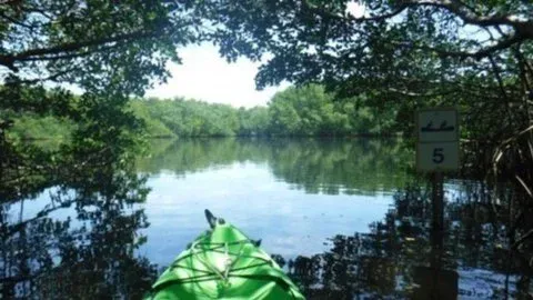 Weedon Island Preserve KAYAK/SUPabout, 8 February | Event in St. Petersburg | AllEvents