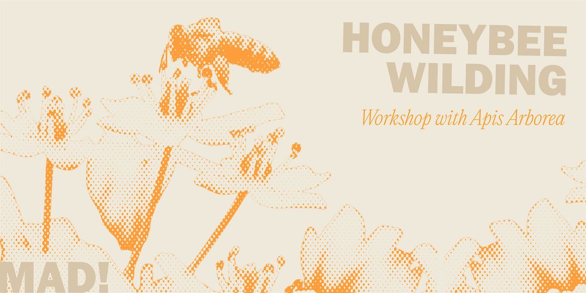Honeybee Wilding: Workshop with Apis Arborea, 22 August | Event in Longmont | AllEvents