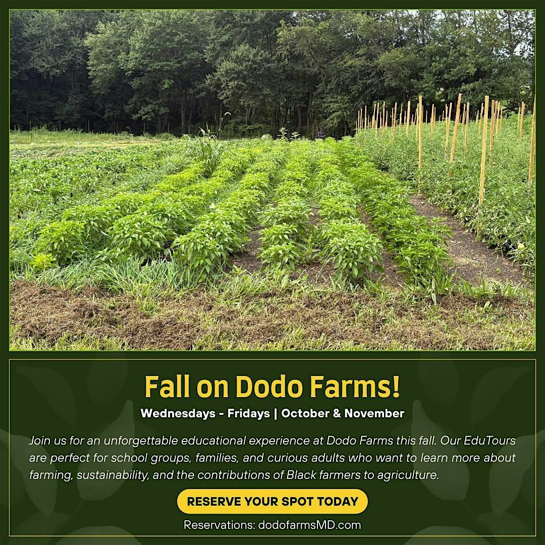 Fall on Dodo Farms: Hands-On EduTours | Event in Mount Airy | AllEvents