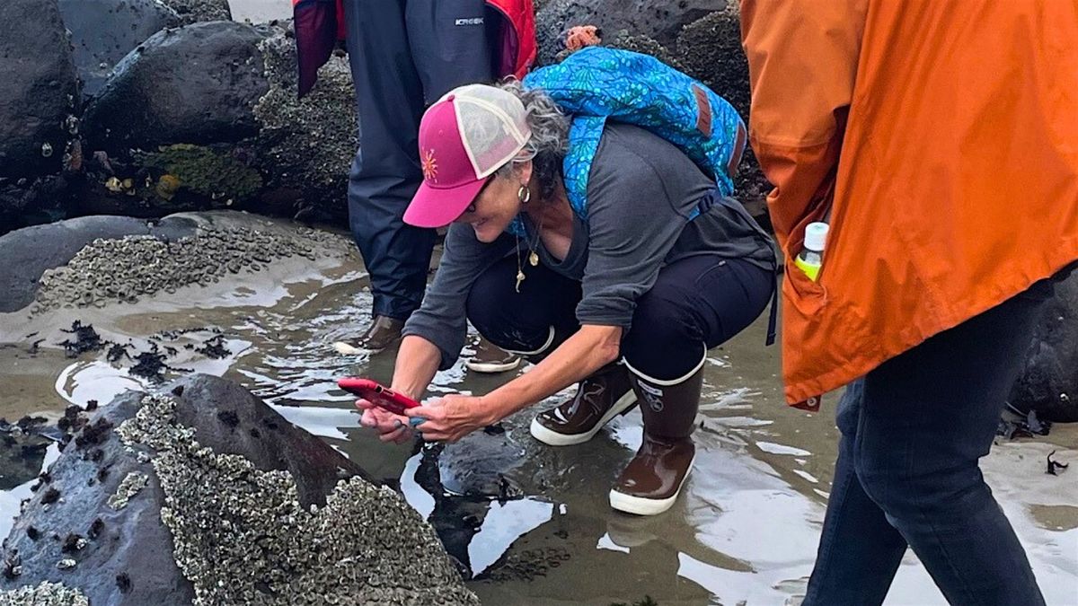 BioBlitz at the Beach: Outing to Neahkahnie, 12 August | Event in Tillamook County | AllEvents