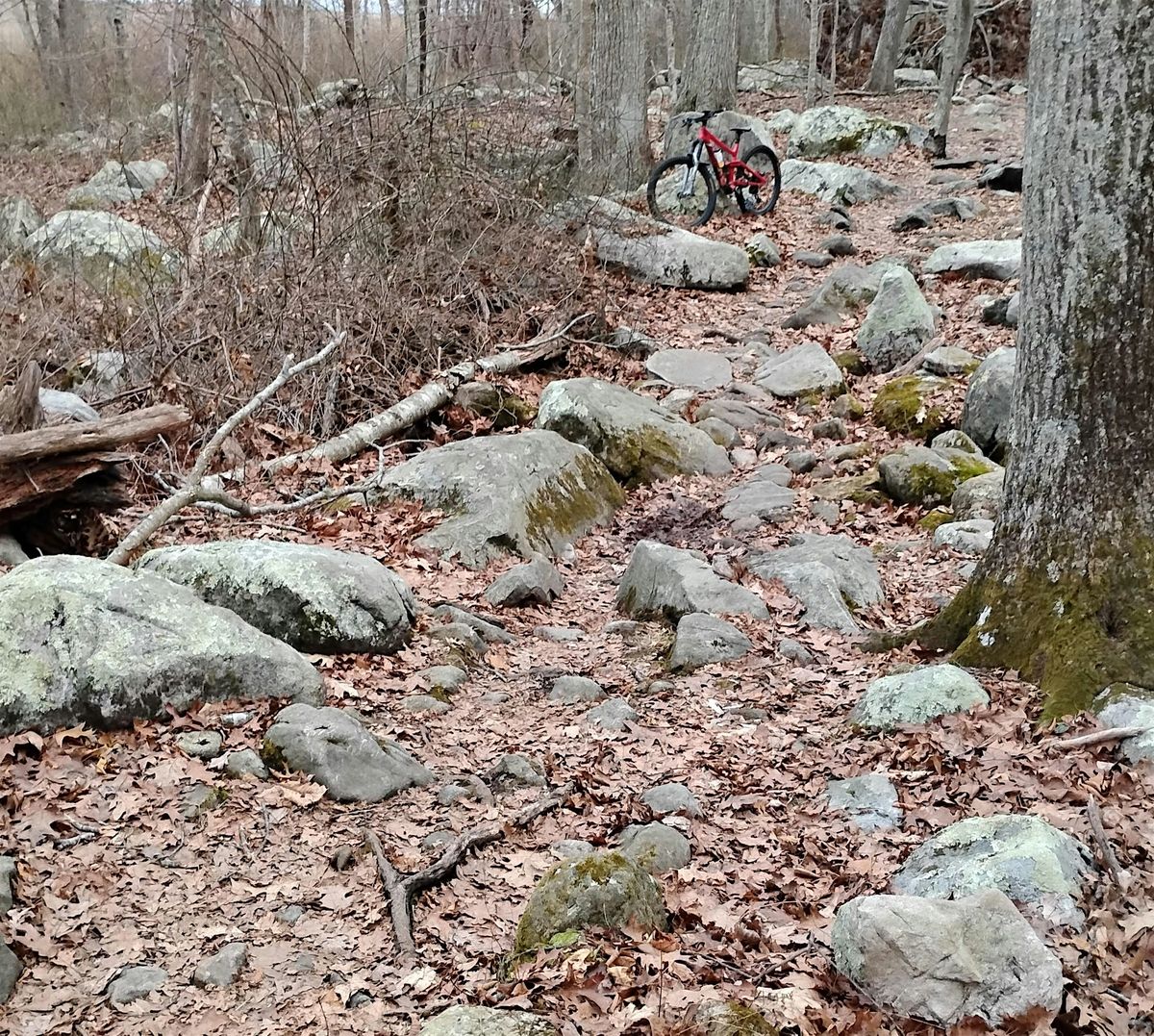 Intermediate With Tech MTB Group Ride, 12 July | Event in Groton | AllEvents