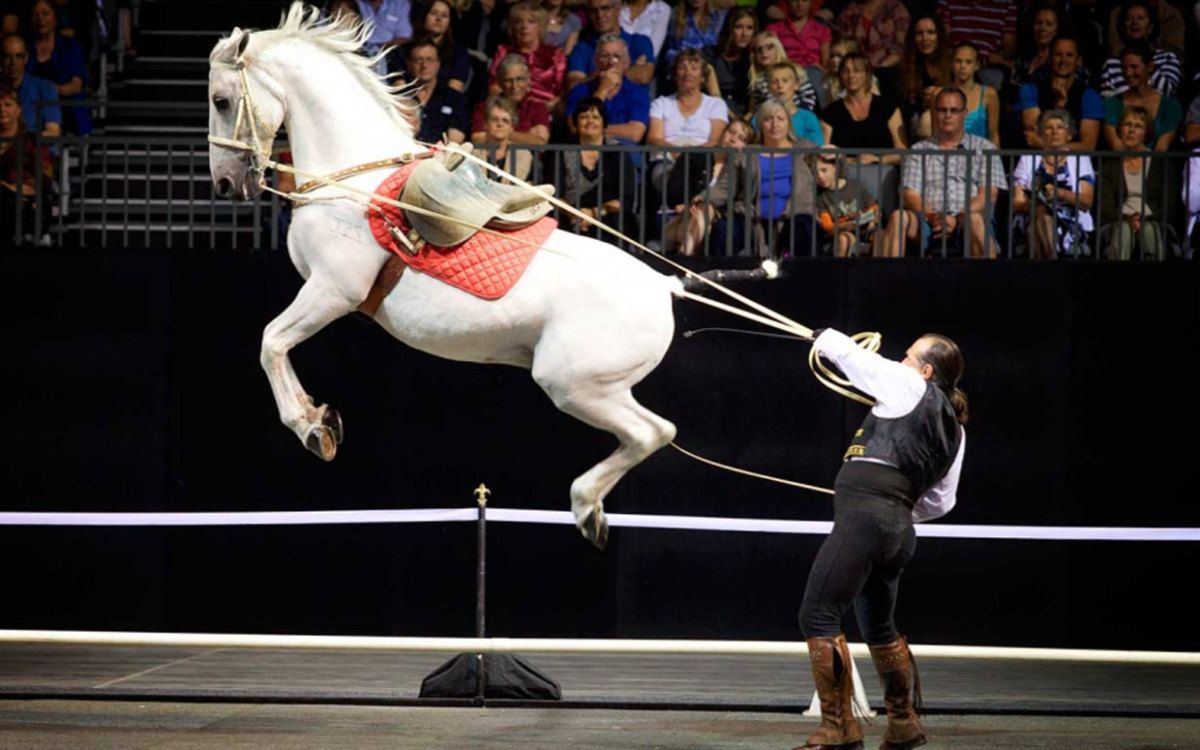 Gala Of The Royal Horses, 13 June | Event in Gainesville | AllEvents
