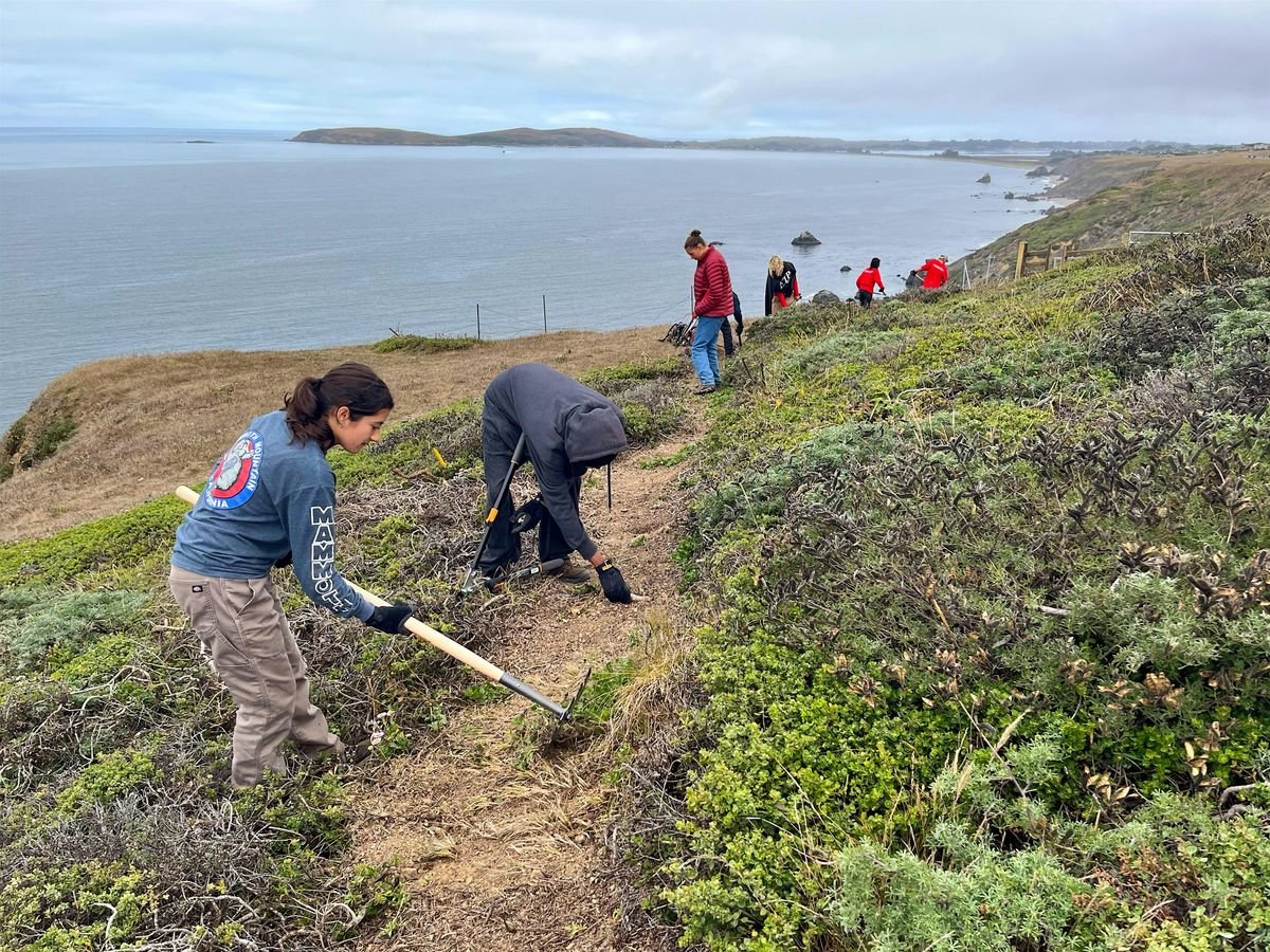 Stewardship Day at Jenner Headlands Preserve, 7 October | Event in Jenner | AllEvents