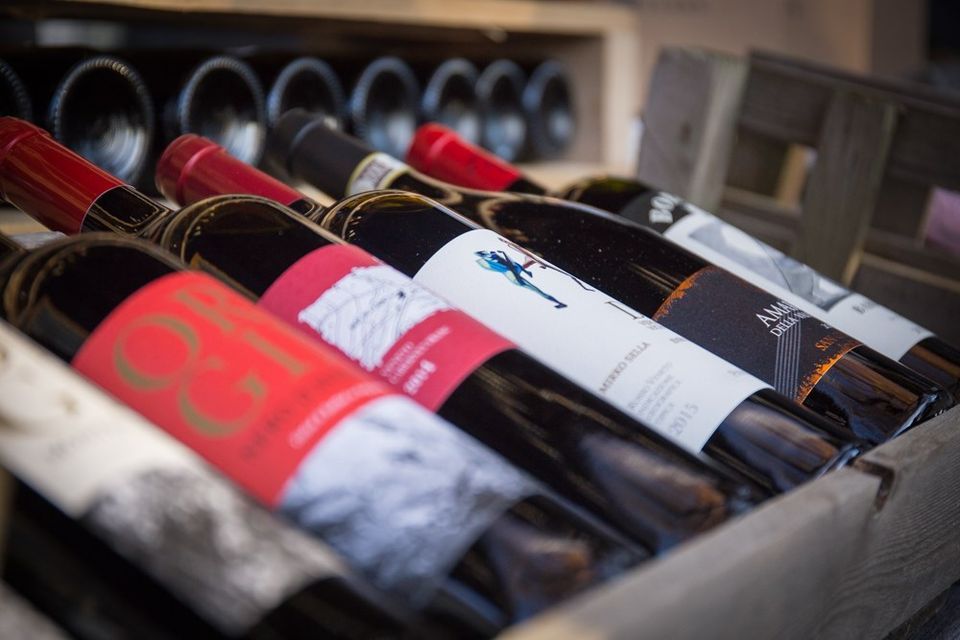 Melton Cheese festival, Melton Mowbray Cattle Market, 20 May 2023