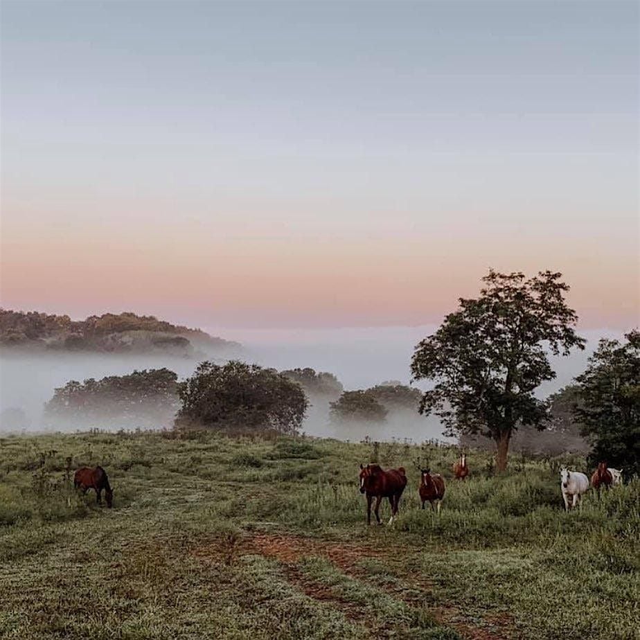 Brush & Bridle - Beginner Watercolor at Stepping Stone Ranch, 27 September | Event in Richmond | AllEvents