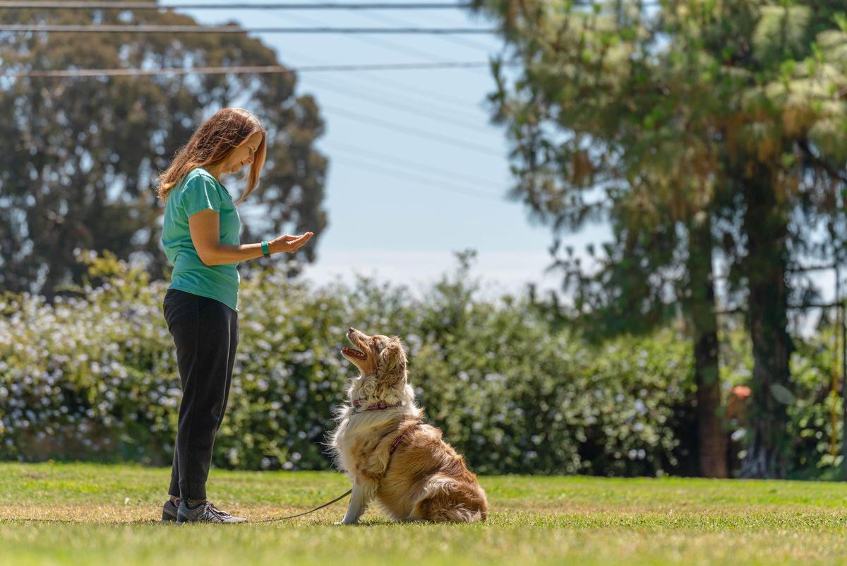 Animals Events In Marina Del Rey Today And Upcoming Animals Events In Marina Del Rey Holden Fair 2022