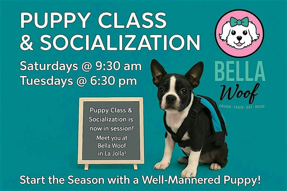 Puppy Training & Socialization Classes, 25 November | Event in San Diego | AllEvents