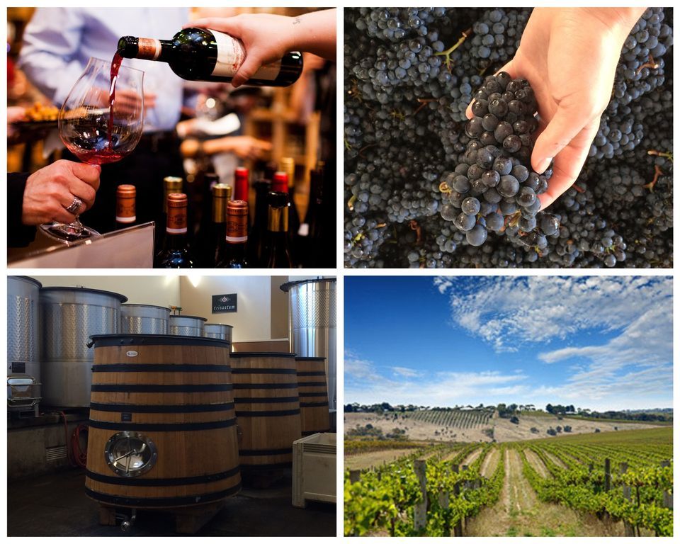 Behind the Label The Art of Winemaking, Vino Venue, Dunwoody, April 3