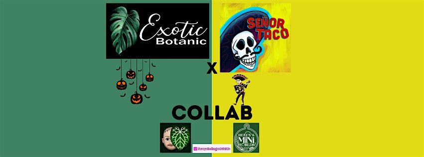 7:30pm entry Señor Taco X Exotic Botanic - El Spooky Fiesta, 31 October | Event in Royston Park | AllEvents