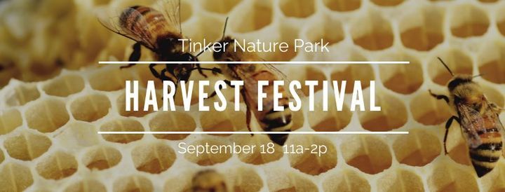 Vvxydeoduwl1jm Cohocton Fall Festival 2022