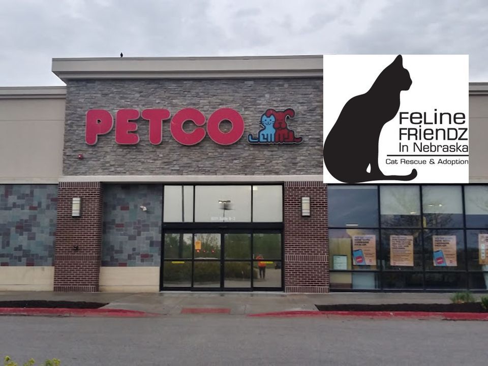 SUNDAY COUNCIL BLUFFS Petco/Feline Friendz Meet & Greet, Petco (Council