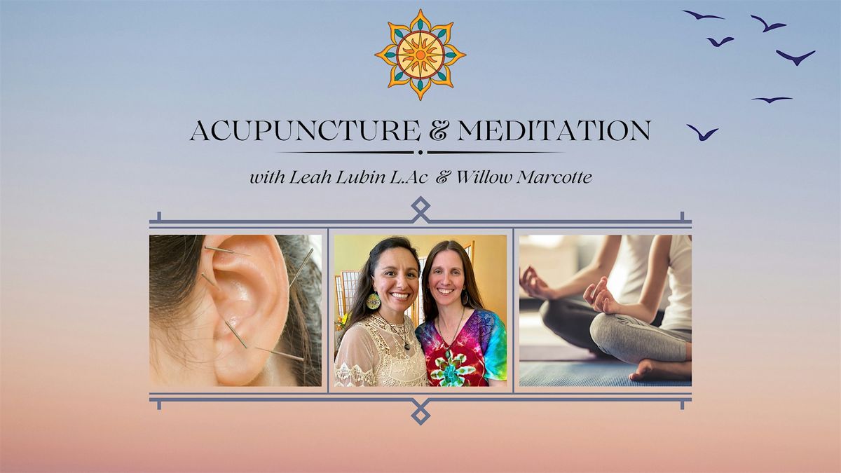 Acupuncture and Meditation with Leah Lubin L.Ac. & Willow Marcotte, 10 August | Event in Land O' Lakes