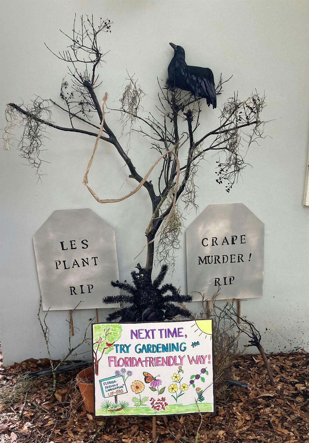 Plants That Haunt: Creating a Spooky Season Garden, 28 October | Event in Lakeland | AllEvents
