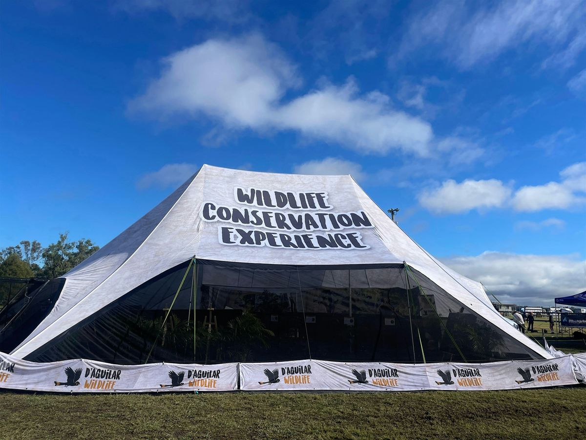 Wombat Festival - Wildlife Experience (School/daycare/playgroup only), 20 May | Event in Clermont | AllEvents