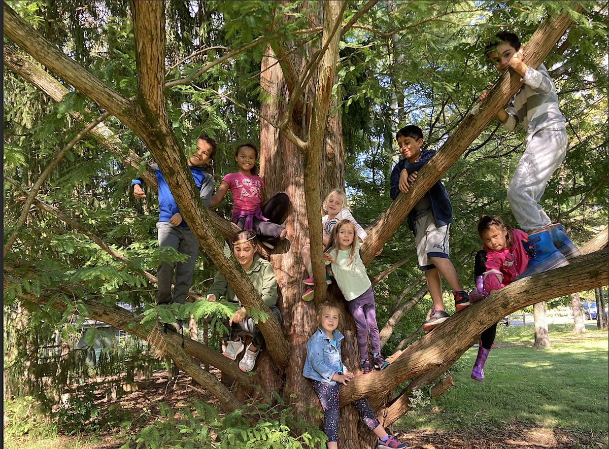 Nature Adventures Camp - GeoVentures in Mt. Airy, 11 August | Event in Philadelphia | AllEvents