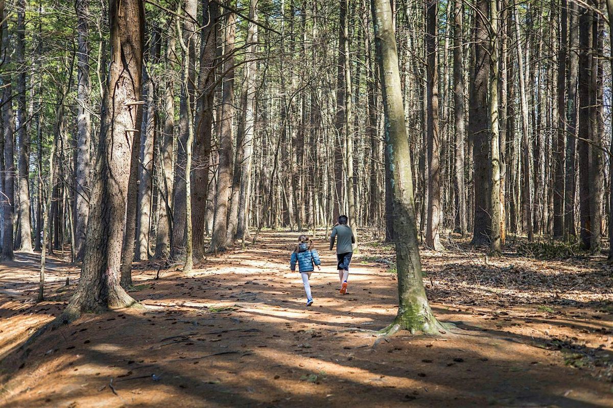 The Forest and Human Health: Talk and Walk (Forest Bathing), 28 September | Event in Raleigh | AllEvents
