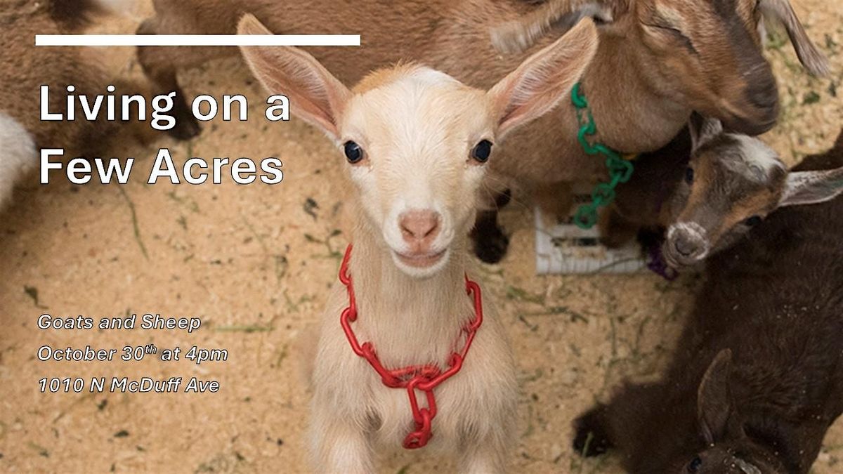 Living on a Few Acres: Goats and Sheep (in-person & Zoom), 30 October | Event in Jacksonville | AllEvents