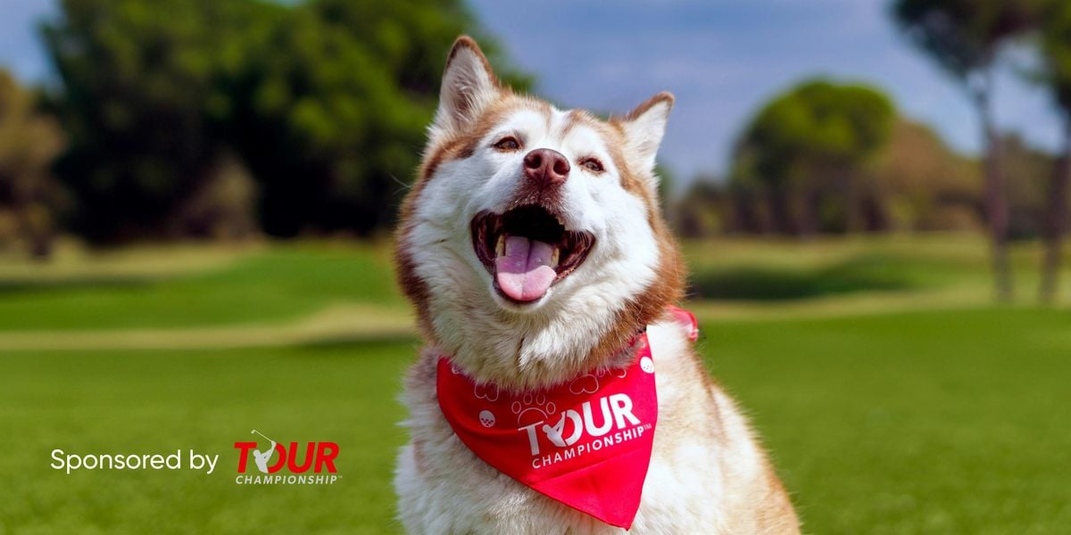 Pup Putt at Atlanta Humane Society | Event in Atlanta | AllEvents
