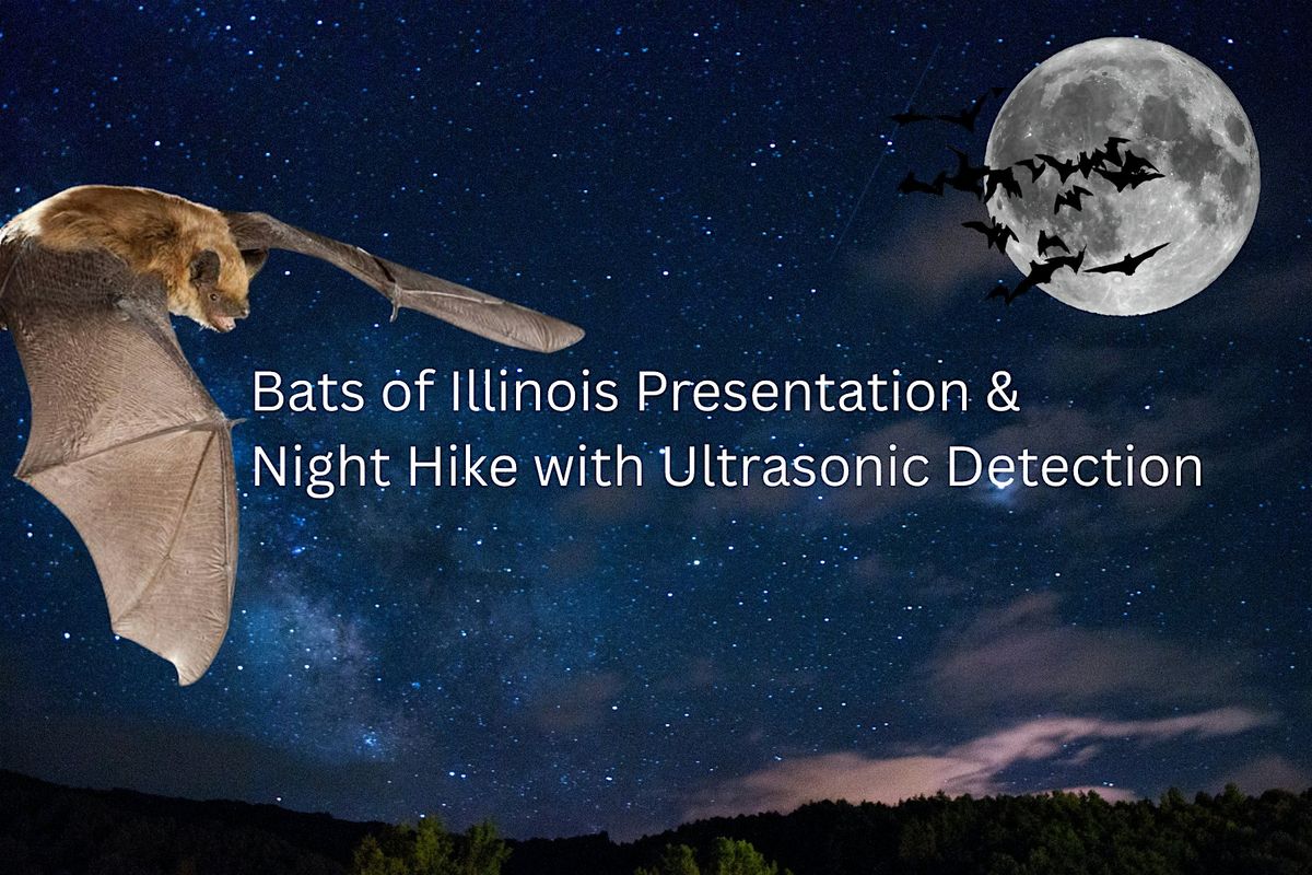 Bats in the Spotlight:  Presentation and Night Hike., 29 August | Event in Oglesby | AllEvents