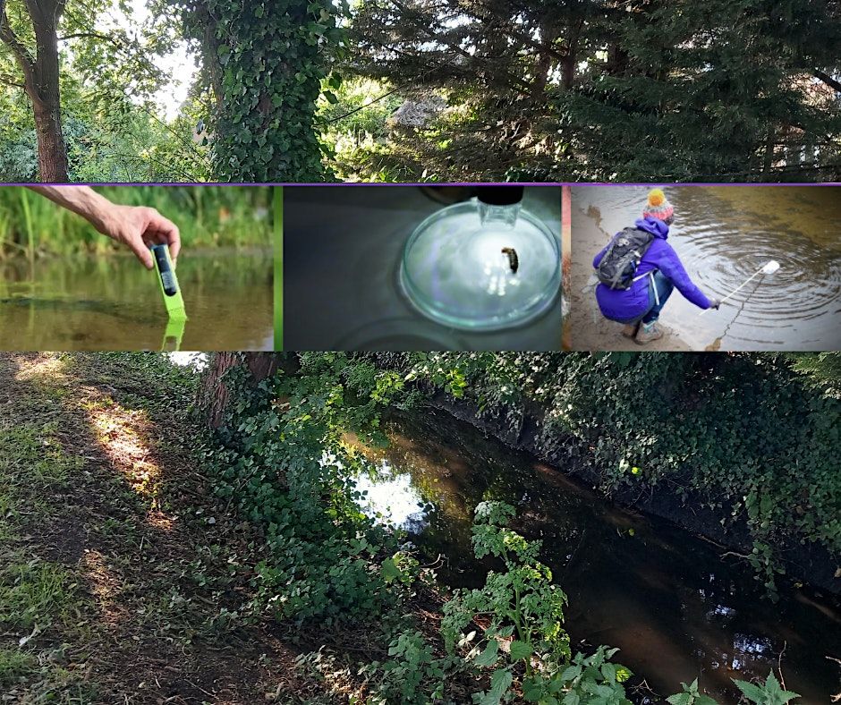 Water Quality Session of the Salt Hill Stream | Event in Slough | AllEvents