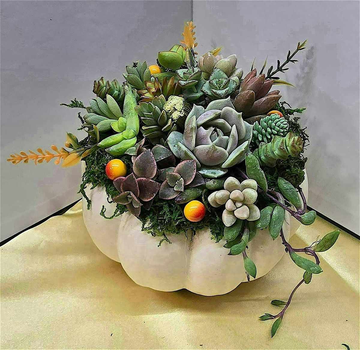 Succulent Pumpkin Making Class, 17 October | Event in Gilroy | AllEvents
