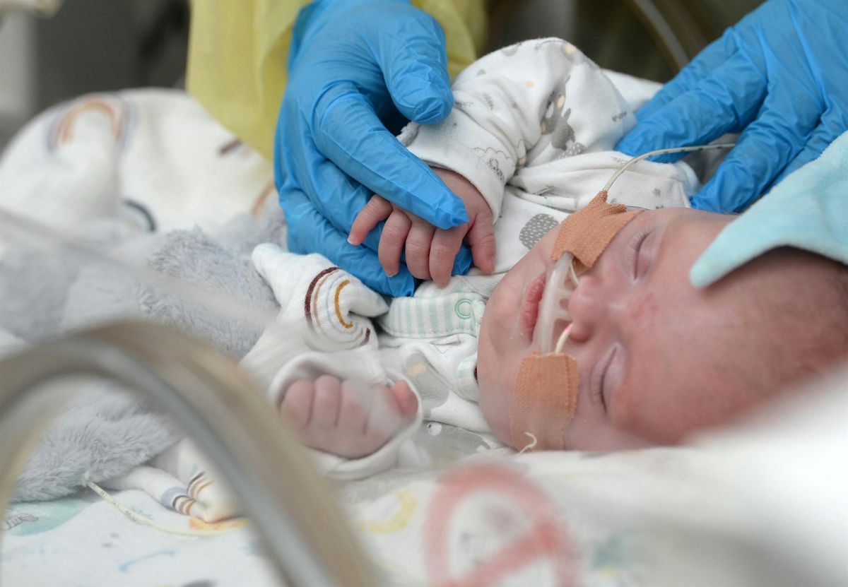 Bedfordshire Neonates Reunion 2025, 4 June | Event in Luton | AllEvents