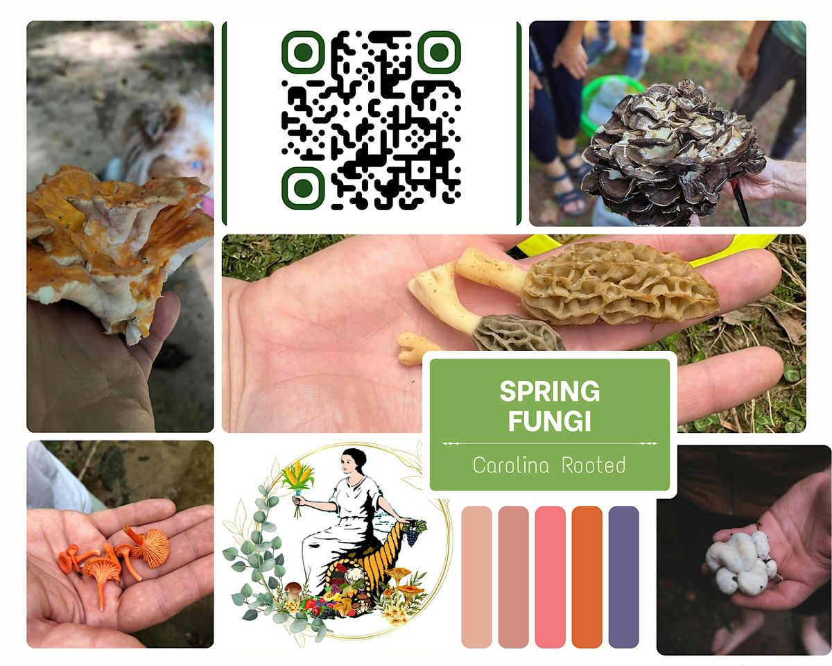 Spring Fungi Forage at Falls Lake, 4 May | Event in Raleigh | AllEvents