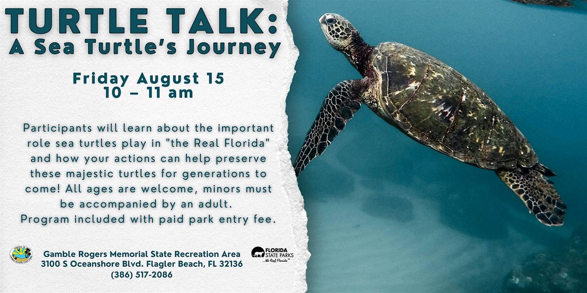 Turtle Talk: A Sea Turtle's Journey, 15 August | Event in Flagler Beach | AllEvents