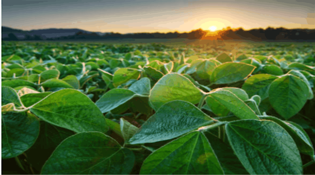 2025 BASF Showcase No Sweat Tour, 6 August | Event in Kearney | AllEvents