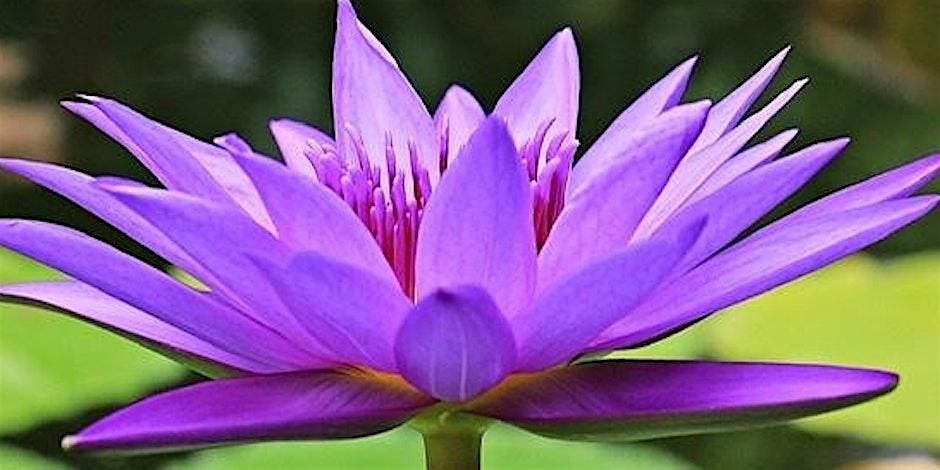 Beyond the Anthill, 15 January | Event in Taunton | AllEvents