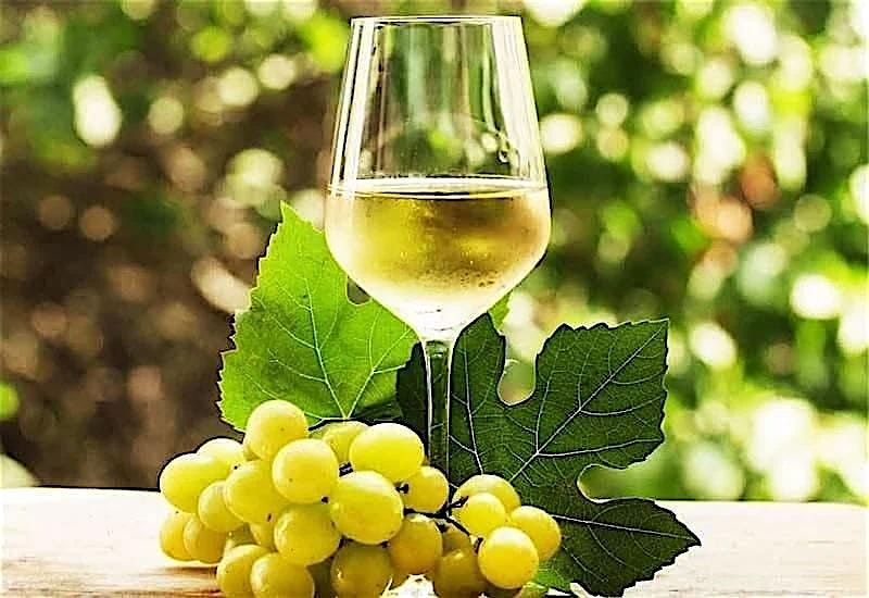 Riesling Around the World, 19 August | Event in Franklin | AllEvents