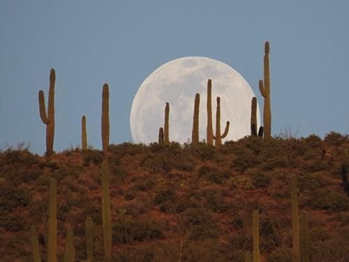 Events In Carefree In May 2021 Holiday Events In Carefree 2022