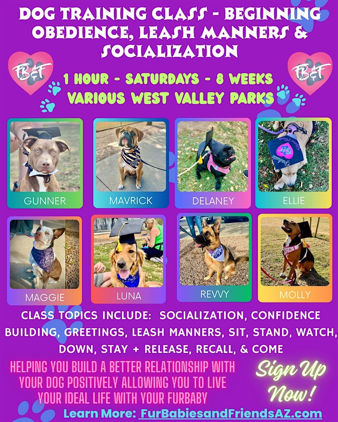 Dog Training Beginner Obedience and Leash Manners Group Class - Glendale,AZ, 27 September | Event in Peoria
