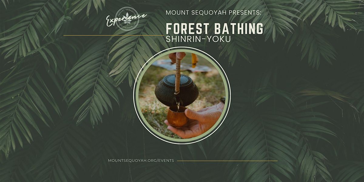 Forest Bathing on the Mountain: A Journey Inward, 1 May | Event in Fayetteville | AllEvents