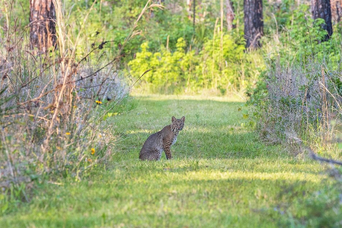Introduction to Nature Photography, 24 May | Event in Lakeland | AllEvents