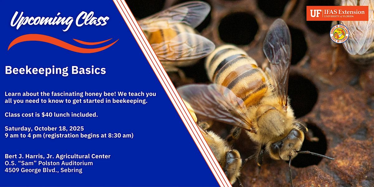 Beekeeping Basics, 18 October | Event in Sebring | AllEvents