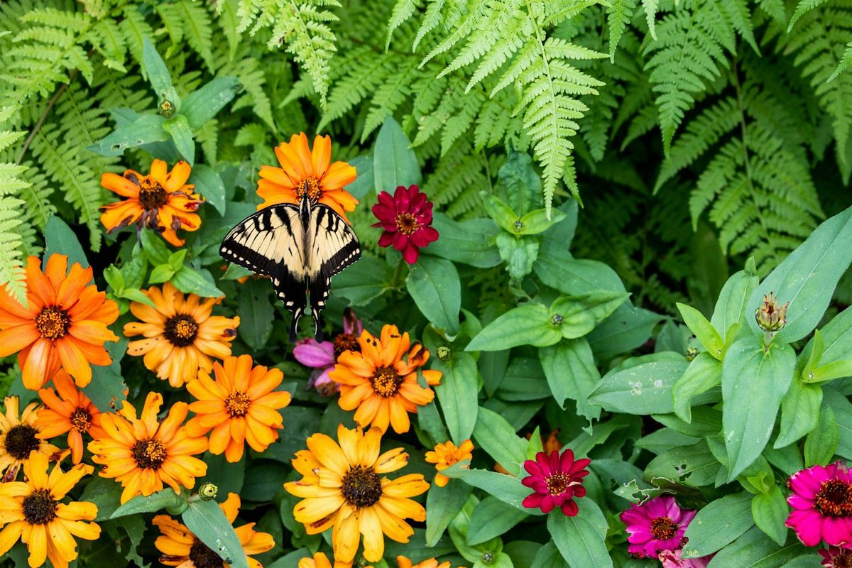 Introduction to Permaculture & Permaculture Plants of Interest, 9 October | Event in Asheville | AllEvents