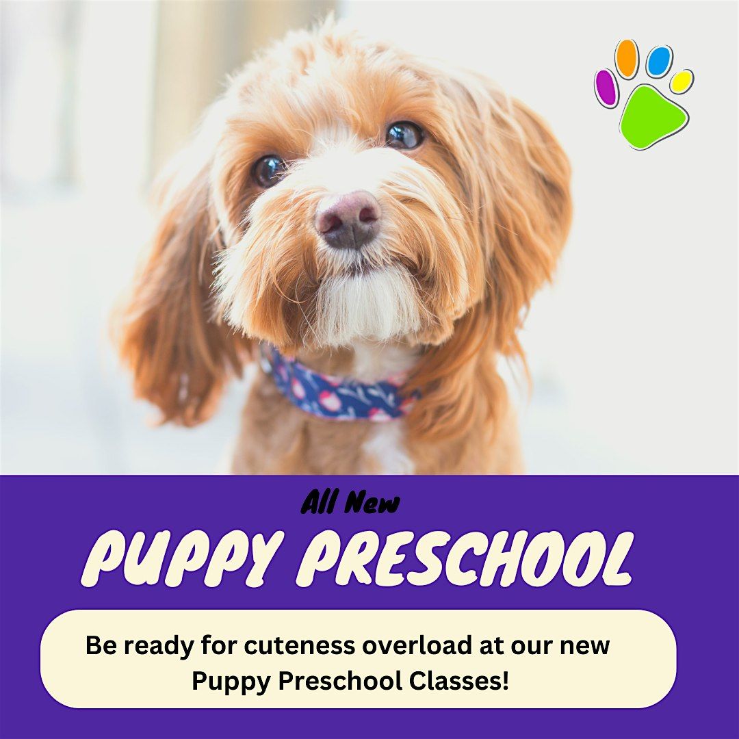 Puppy Preschool Term (8 weeks-20 weeks of age) | Event in Wagga Wagga | AllEvents