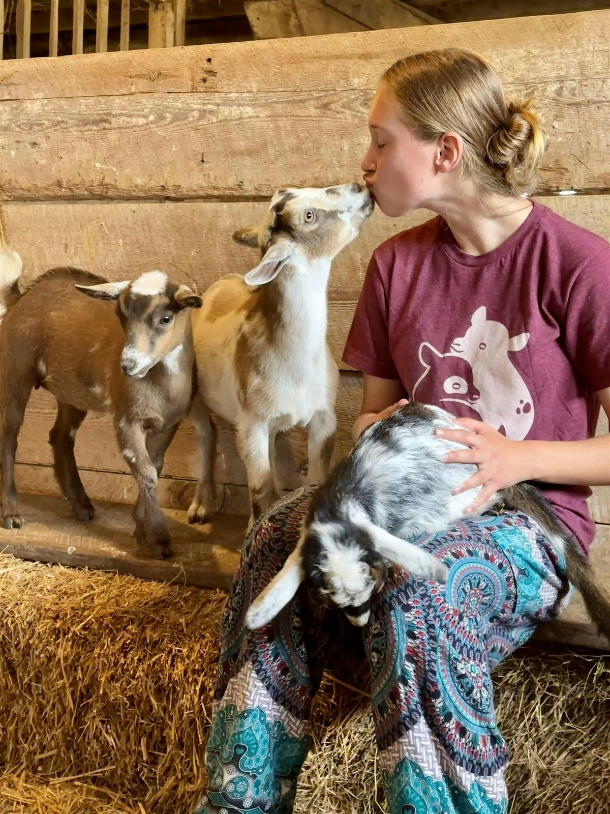 Baby goat snuggles, 19 July | Event in Berryville | AllEvents