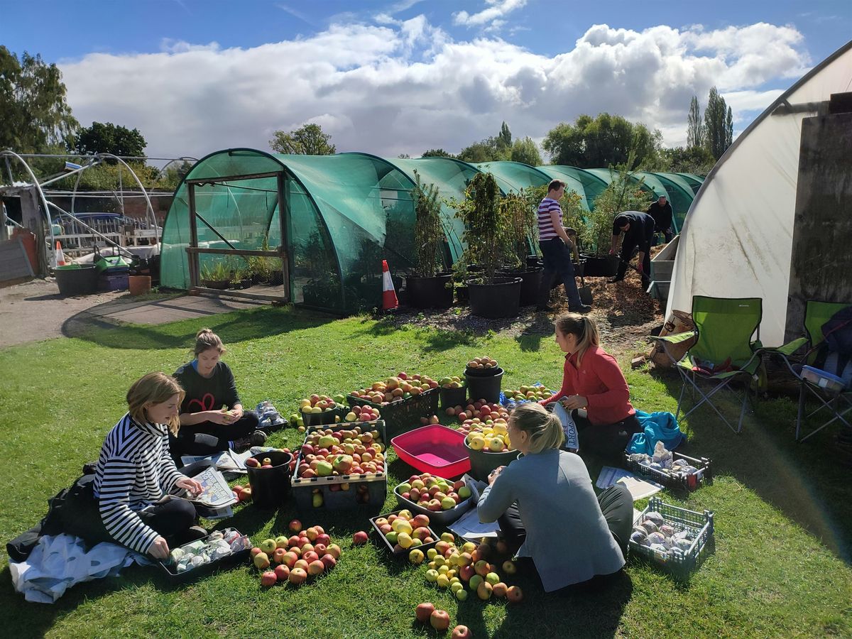 Nature Tots: Bird Feeder Making at The Elvaston Community Allotment, 11 October | Event in Derby | AllEvents