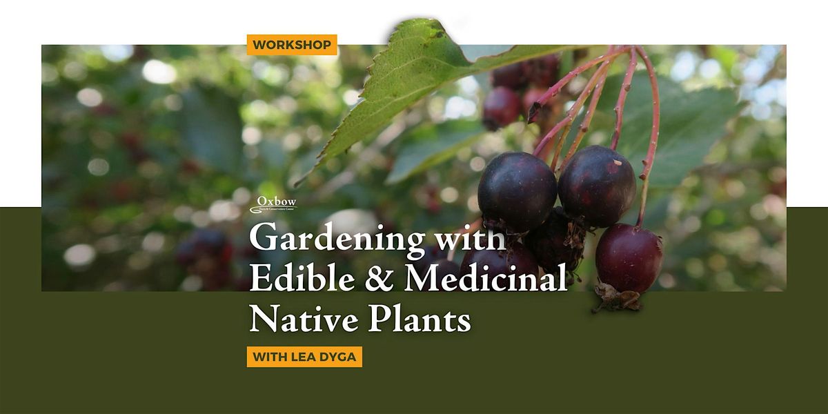 Gardening with Edible & Medicinal Native Plants Workshop, 2 August | Event in Carnation | AllEvents