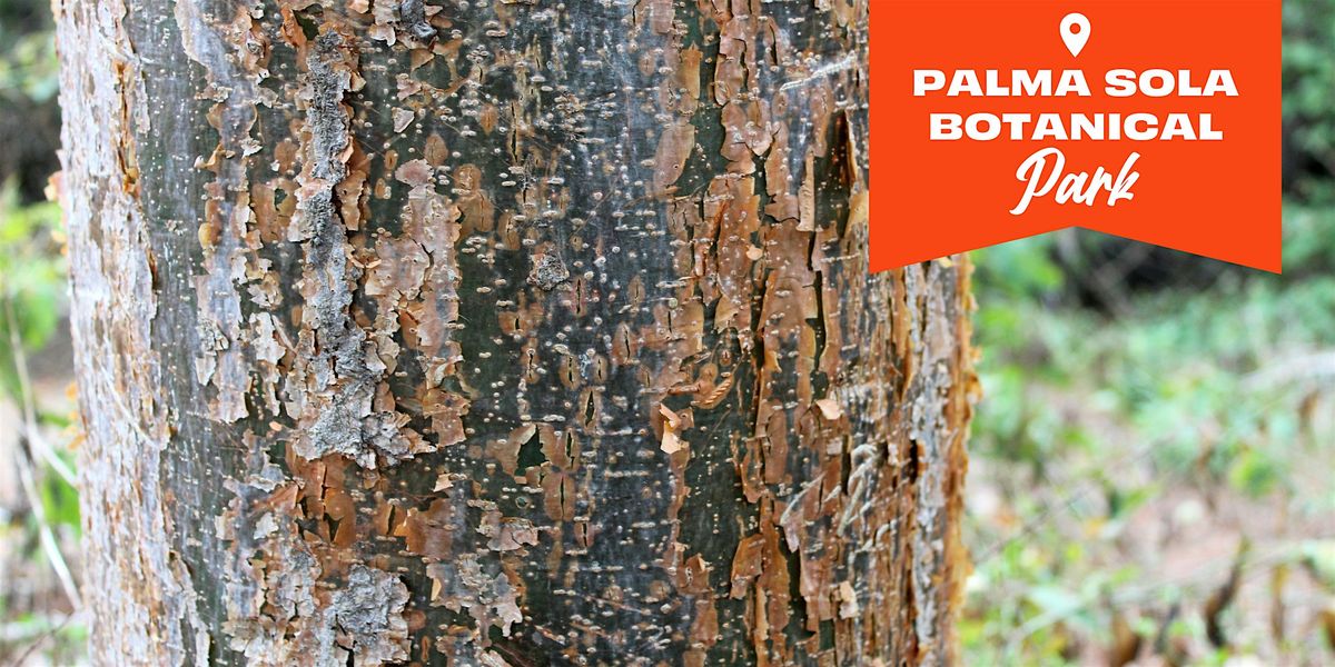 Florida-Friendly Landscaping™  The Value of Trees, 19 June | Event in Bradenton | AllEvents